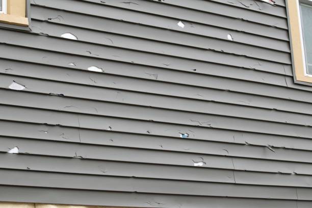 Trusted Shenandoah, VA Siding Installation & Repair Experts